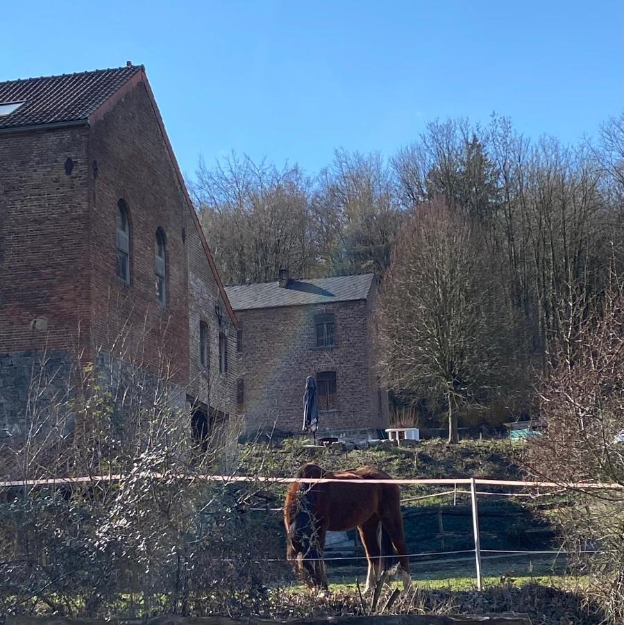 Villa Le Ranch Des Aguesses Andenne Exterior foto